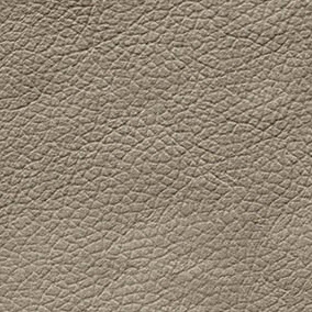 Genisia leather beige scuro (dark beige)